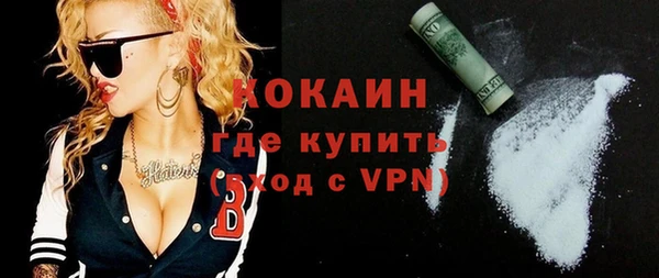 прущий лед Новозыбков