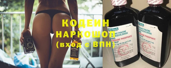 прущий лед Новозыбков