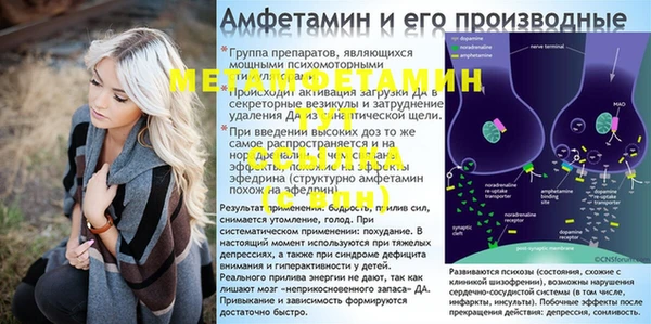 СК Новодвинск