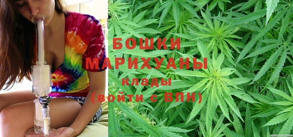 прущий лед Новозыбков