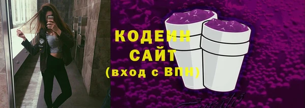 СК Новодвинск