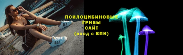 гидра Новокубанск