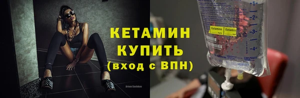 СК Новодвинск