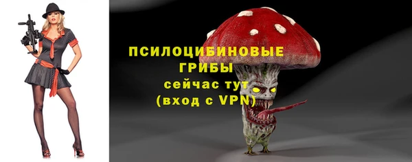СК Новодвинск