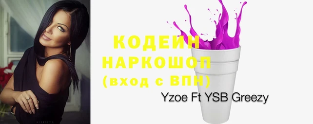 СК Новодвинск