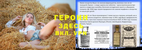 СК Новодвинск