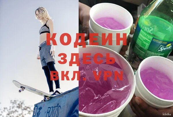 СК Новодвинск