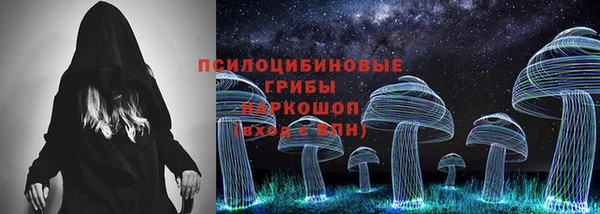 СК Новодвинск