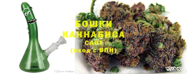 СК Новодвинск