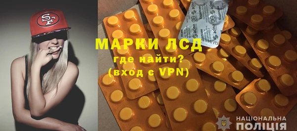 прущий лед Новозыбков