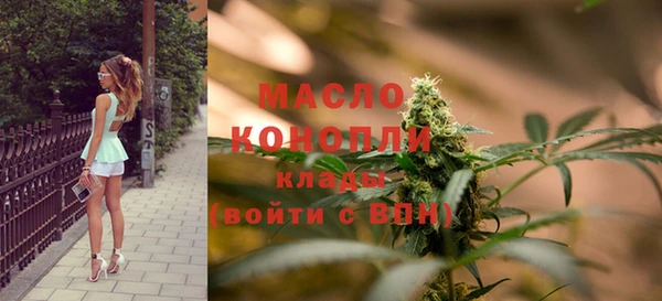 СК Новодвинск