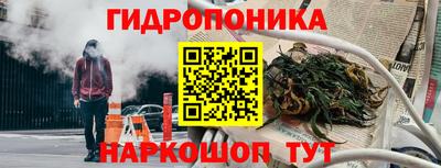 apvp Волжск
