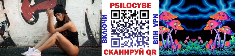Псилоцибиновые грибы прущие грибы  Александров 