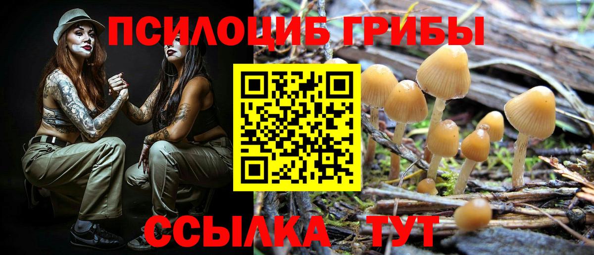 Галлюциногенные грибы ЛСД Александров