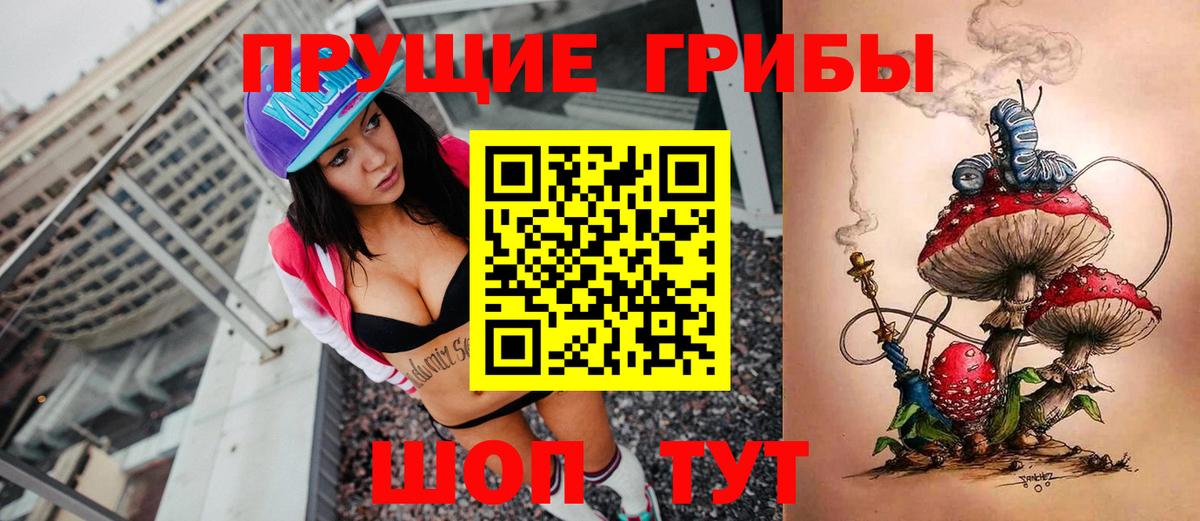 Александров  Псилоцибиновые грибы мухоморы  Вход с VPN 