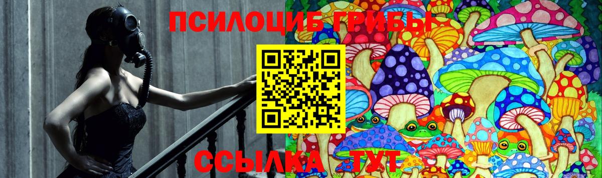 Галлюциногенные грибы MAGIC MUSHROOMS Александров