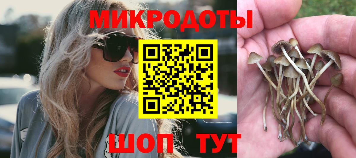 Псилоцибиновые грибы мицелий  Галлюциногенные грибы мицелий  Александров  Вход с VPN 