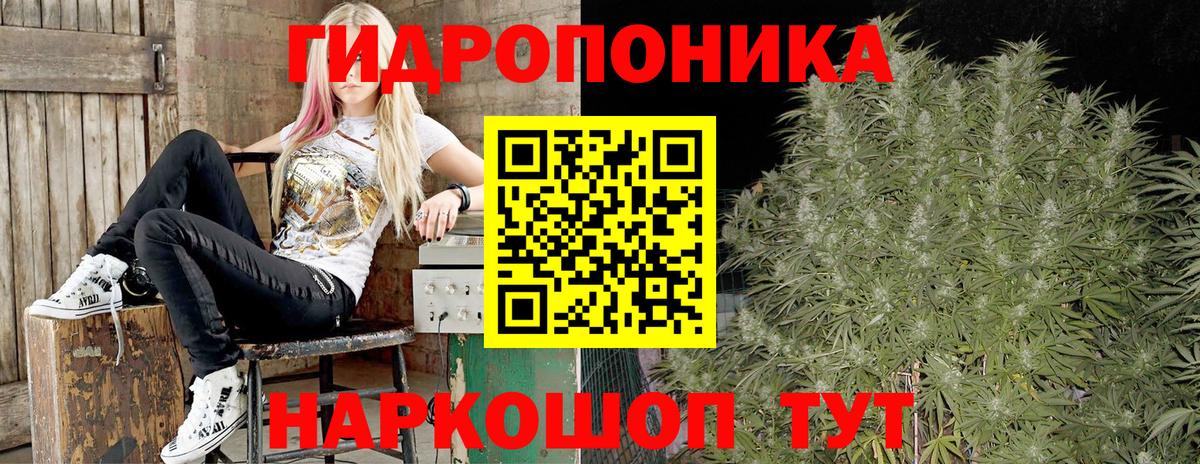 Александров  Канабис OG Kush  Вход с VPN  Конопля план  Шишки марихуана ГИДРОПОН 